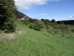 DSC00741