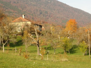 DSC01050