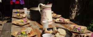 saveurs_sauvages